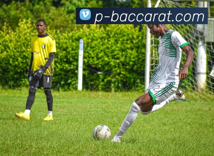 百家乐官网全站App